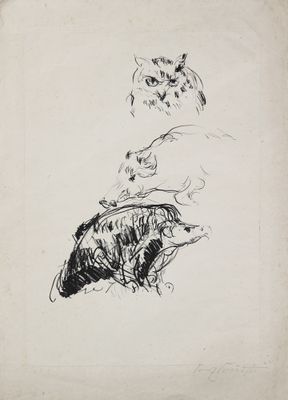 une image représentant un dessin en noir et blanc d'un hibou et d'un chien