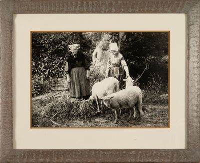 a picture of a group of people with sheep in a field