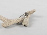 an image of a pair of scissors sitting on top of a piece of coral