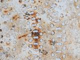 rusted metal surface with holes and rivets on it