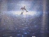 affiche française du film « Le Grand Bleu »