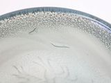 a glass bowl with water in it on a table