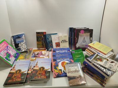 Lot de 20+ articles - MULTI-ÉDITEURS - Livres variés et DVD …