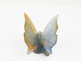 a small blue and yellow butterfly on a white surface