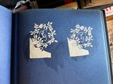 a blue book with a picture of a man and a woman on it
