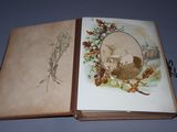 an old book with a picture of a cat and a bird on it