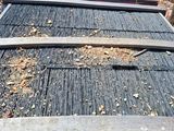 un train qui avance sur les rails au milieu des bois