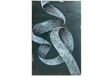 the cover of a book with a drawing of a snake on it