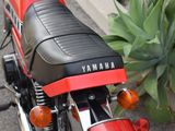 a red and black motorcycle parked next to a plant