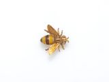 un gros plan d'une abeille sur une surface blanche