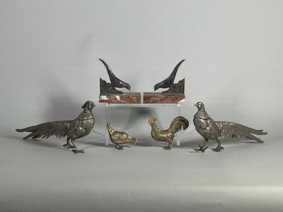 cinq oiseaux qui se tiennent les uns à côté des autres