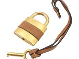 a close up of a brass padlock on a brown leather strap