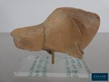 an image of a clay animal head on a plastic stand