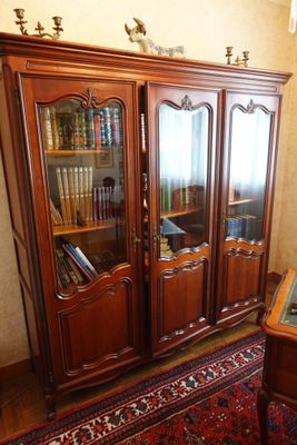 une photo d'un salon avec une bibliothèque et un tapis