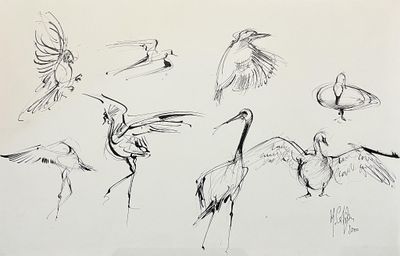Michel COSTIOU (1947), "oiseaux", encre, SBD, 32.5 x 50.5 cm…