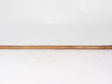an old cane with a wooden handle on a white background