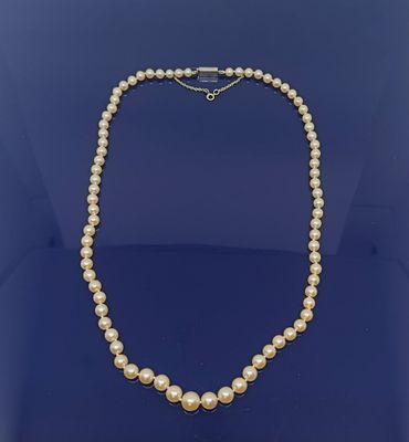un collier de perles avec un fermoir en or sur fond bleu