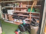 a garage with a lot of items on the shelves