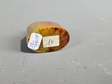a piece of fruit that has a sticker on it