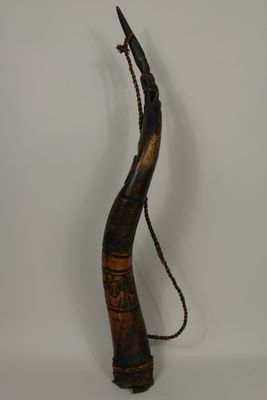 an elephant horn with a chain hanging from it ' s neck