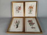 trois reproductions encadrées représentant des fleurs, dans un cadre doré sur fond blanc