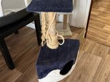 an image of a cat tree with a cat on it