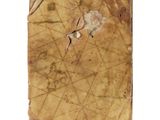 a piece of paper that has been left on the floor