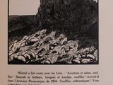 illustration of a black and white picture of a rocky outcropping