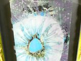 la photo d'une photo représentant une fleur bleue dans un cadre