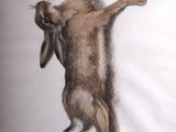 un dessin représentant un lapin suspendu la tête en bas, accroché par ses pattes arrière