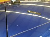 a close up of a car ' s emblem on the hood