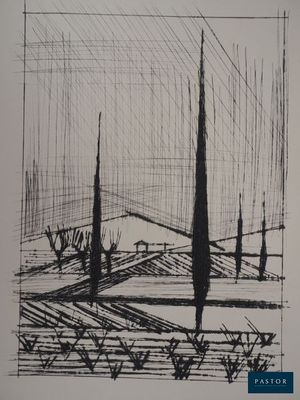 un dessin en noir et blanc représentant des arbres dans un champ, avec le ciel en arrière-plan