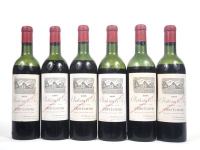 six bouteilles de vin sont alignées sur une surface blanche