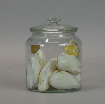 a glass jar with shells inside of it on a table