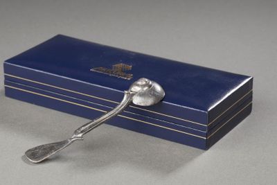 une cuillère en argent posée sur une boîte bleue