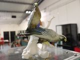 un oiseau perché sur une table en verre