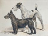 tableau représentant deux chiens debout l'un à côté de l'autre sur une surface blanche
