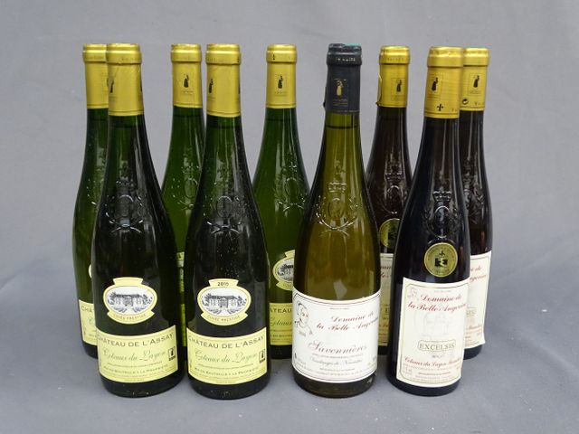 COTEAUX DU LAYON, DOMAINE DE LA BELLE ANGEVINE, Excelsis, 3 boute...