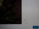 a picture of a picture of a plant and a picture of a bird