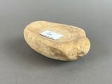 a close up of a rock on a table with a tag on it