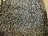 black and white knitted beanie with lots of black and white beads