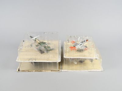 deux boîtes en plastique contenant des petits avions jouets