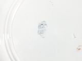 a white plate with a drawing of a bird on it