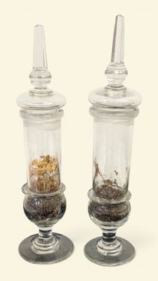 two glass jars with plants in them sitting on a table