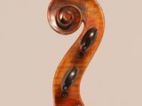 a close up of the back of a violin