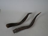 two horns that are sitting on a table