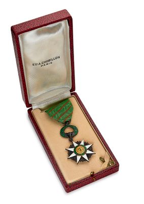 Gros plan sur une médaille dans un écrin, sur fond blanc
