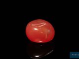 an image of a single tomato on a black surface