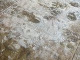 a large area rug on the floor in a living room