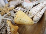 a wooden bowl filled with shells and seashells